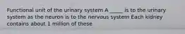 Functional unit of the urinary system A _____ is to the urinary system as the neuron is to the nervous system Each kidney contains about 1 million of these