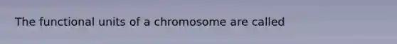 The functional units of a chromosome are called