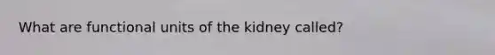 What are functional units of the kidney called?