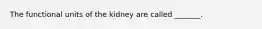 The functional units of the kidney are called _______.