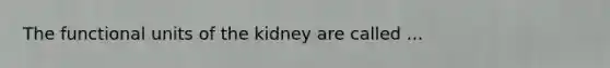 The functional units of the kidney are called ...