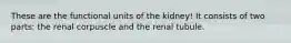 These are the functional units of the kidney! It consists of two parts: the renal corpuscle and the renal tubule.