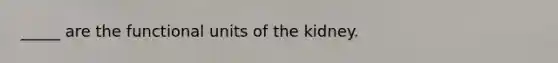 _____ are the functional units of the kidney.