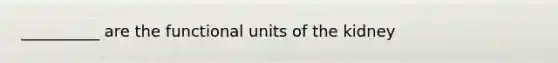 __________ are the functional units of the kidney