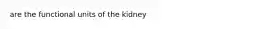 are the functional units of the kidney