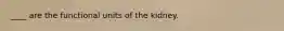 ____ are the functional units of the kidney.