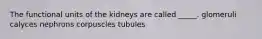 The functional units of the kidneys are called _____. glomeruli calyces nephrons corpuscles tubules