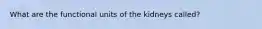 What are the functional units of the kidneys called?