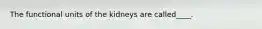 The functional units of the kidneys are called____.