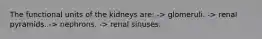 The functional units of the kidneys are: -> glomeruli. -> renal pyramids. -> nephrons. -> renal sinuses.