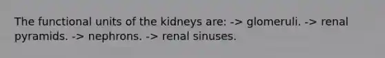 The functional units of the kidneys are: -> glomeruli. -> renal pyramids. -> nephrons. -> renal sinuses.