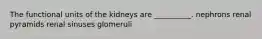 The functional units of the kidneys are __________. nephrons renal pyramids renal sinuses glomeruli