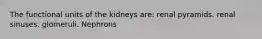 The functional units of the kidneys are: renal pyramids. renal sinuses. glomeruli. Nephrons