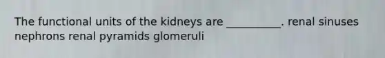 The functional units of the kidneys are __________. renal sinuses nephrons renal pyramids glomeruli