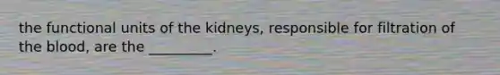 the functional units of the kidneys, responsible for filtration of <a href='https://www.questionai.com/knowledge/k7oXMfj7lk-the-blood' class='anchor-knowledge'>the blood</a>, are the _________.