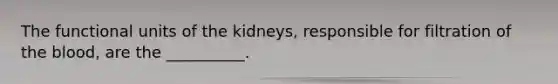 The functional units of the kidneys, responsible for filtration of the blood, are the __________.