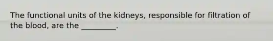 The functional units of the kidneys, responsible for filtration of <a href='https://www.questionai.com/knowledge/k7oXMfj7lk-the-blood' class='anchor-knowledge'>the blood</a>, are the _________.