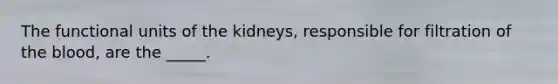 The functional units of the kidneys, responsible for filtration of <a href='https://www.questionai.com/knowledge/k7oXMfj7lk-the-blood' class='anchor-knowledge'>the blood</a>, are the _____.