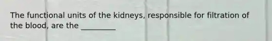 The functional units of the kidneys, responsible for filtration of <a href='https://www.questionai.com/knowledge/k7oXMfj7lk-the-blood' class='anchor-knowledge'>the blood</a>, are the _________