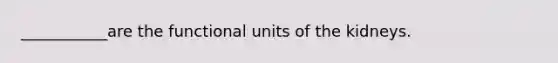 ___________are the functional units of the kidneys.