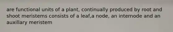 are functional units of a plant, continually produced by root and shoot meristems consists of a leaf,a node, an internode and an auxillary meristem