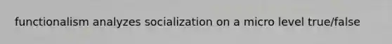 functionalism analyzes socialization on a micro level true/false