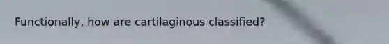 Functionally, how are cartilaginous classified?