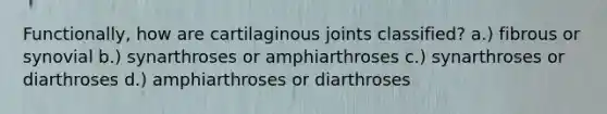 Functionally, how are cartilaginous joints classified? a.) fibrous or synovial b.) synarthroses or amphiarthroses c.) synarthroses or diarthroses d.) amphiarthroses or diarthroses