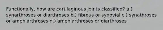 Functionally, how are cartilaginous joints classified? a.) synarthroses or diarthroses b.) fibrous or synovial c.) synathroses or amphiarthroses d.) amphiarthroses or diarthroses