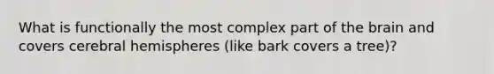 What is functionally the most complex part of the brain and covers cerebral hemispheres (like bark covers a tree)?