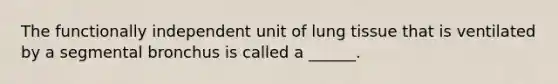 The functionally independent unit of lung tissue that is ventilated by a segmental bronchus is called a ______.