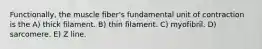 Functionally, the muscle fiber's fundamental unit of contraction is the A) thick filament. B) thin filament. C) myofibril. D) sarcomere. E) Z line.