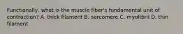 Functionally, what is the muscle fiber's fundamental unit of contraction? A. thick filament B. sarcomere C. myofibril D. thin filament