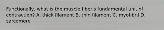 Functionally, what is the muscle fiber's fundamental unit of contraction? A. thick filament B. thin filament C. myofibril D. sarcomere