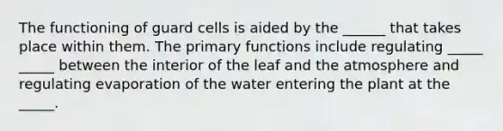 The functioning of guard cells is aided by the ______ that takes place within them. The primary functions include regulating _____ _____ between the interior of the leaf and the atmosphere and regulating evaporation of the water entering the plant at the _____.