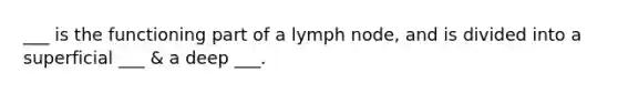 ___ is the functioning part of a lymph node, and is divided into a superficial ___ & a deep ___.