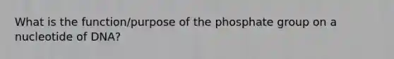 What is the function/purpose of the phosphate group on a nucleotide of DNA?