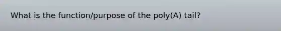 What is the function/purpose of the poly(A) tail?