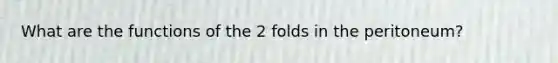 What are the functions of the 2 folds in the peritoneum?