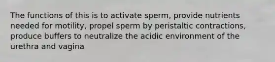 The functions of this is to activate sperm, provide nutrients needed for motility, propel sperm by peristaltic contractions, produce buffers to neutralize the acidic environment of the urethra and vagina