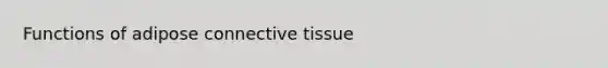 Functions of adipose connective tissue