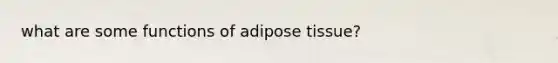 what are some functions of adipose tissue?