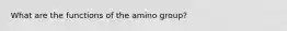 What are the functions of the amino group?