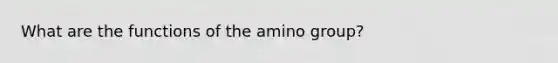 What are the functions of the amino group?