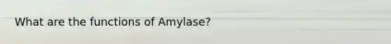 What are the functions of Amylase?