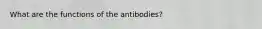 What are the functions of the antibodies?