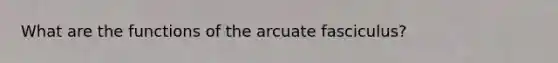 What are the functions of the arcuate fasciculus?