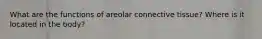 What are the functions of areolar connective tissue? Where is it located in the body?