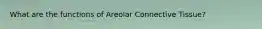 What are the functions of Areolar Connective Tissue?