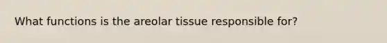 What functions is the areolar tissue responsible for?